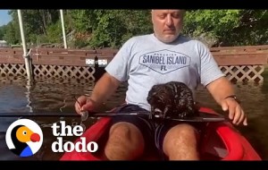 Rescued Baby Beaver Loves To Kayak With His Family