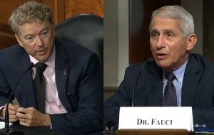 Rand Paul on 'explosive' hearing with Dr. Fauci